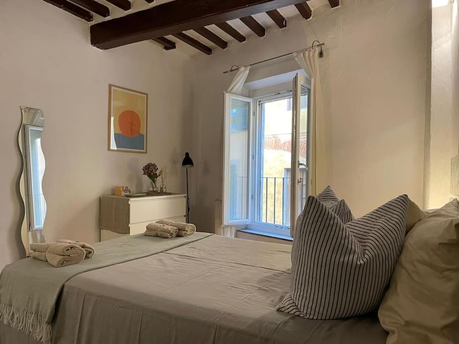 Casa Storica Nel Cuore Di Pisa - Lungarno Exteriör bild